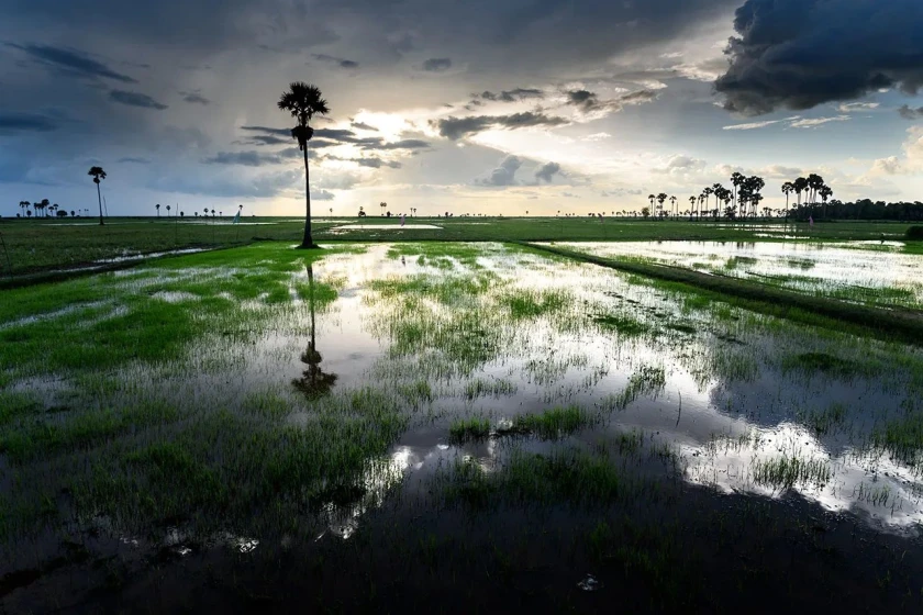 Entre templos y paisajes rurales en bus público