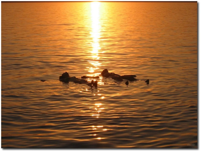 La Perla de Jordania