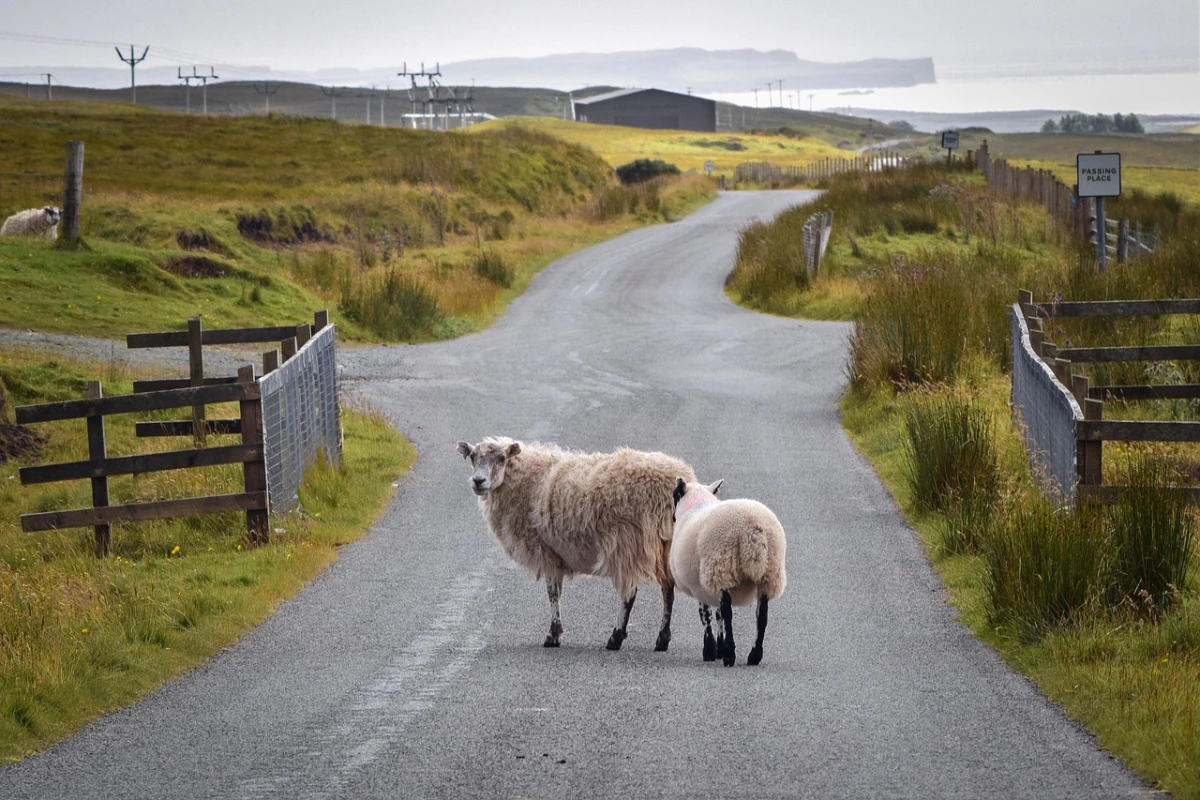 Paisajes de Escocia e Irlanda