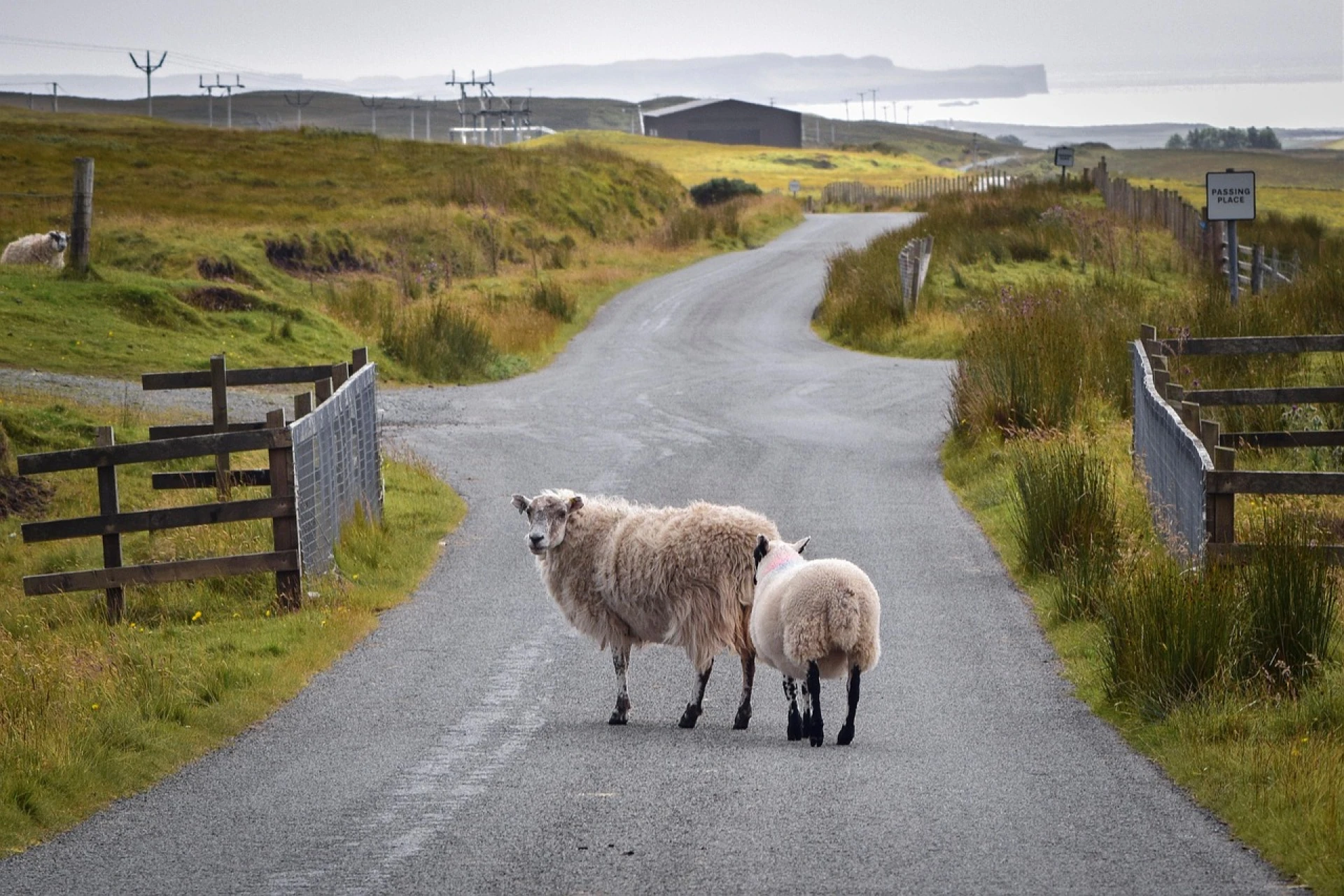 Paisajes de Escocia e Irlanda