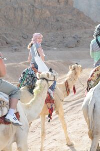 travel group of people riding camels